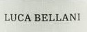 Luca Bellani
