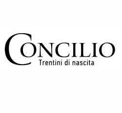 CONCILIO